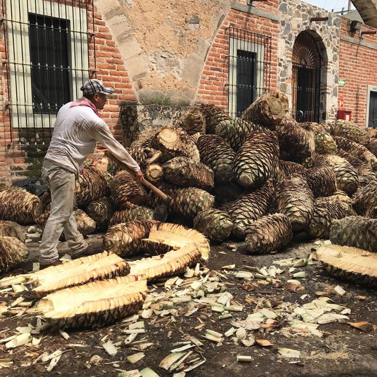 How Caballito Cerrero Lost Its Tequila Classification But Gained Everything