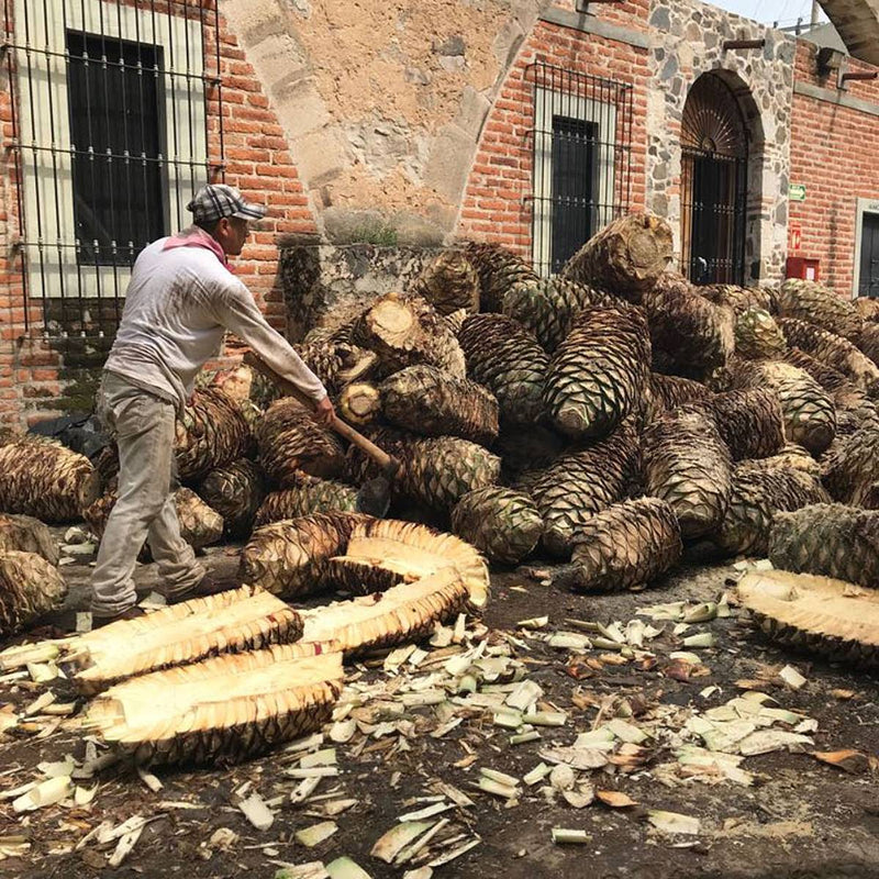 How Caballito Cerrero Lost Its Tequila Classification But Gained Everything