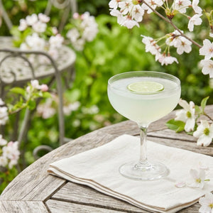 Welcome In The Spring And Rediscover The Gimlet